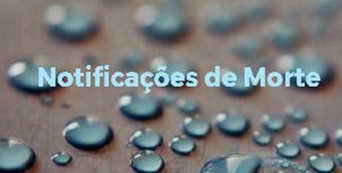 Notifica&ccedil;&otilde;es de Morte na CVP